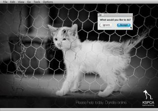 KSPCA: Donate Online - Accept